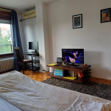 Apartment Student City, Wifi 300Mbs بلغراد المظهر الخارجي الصورة