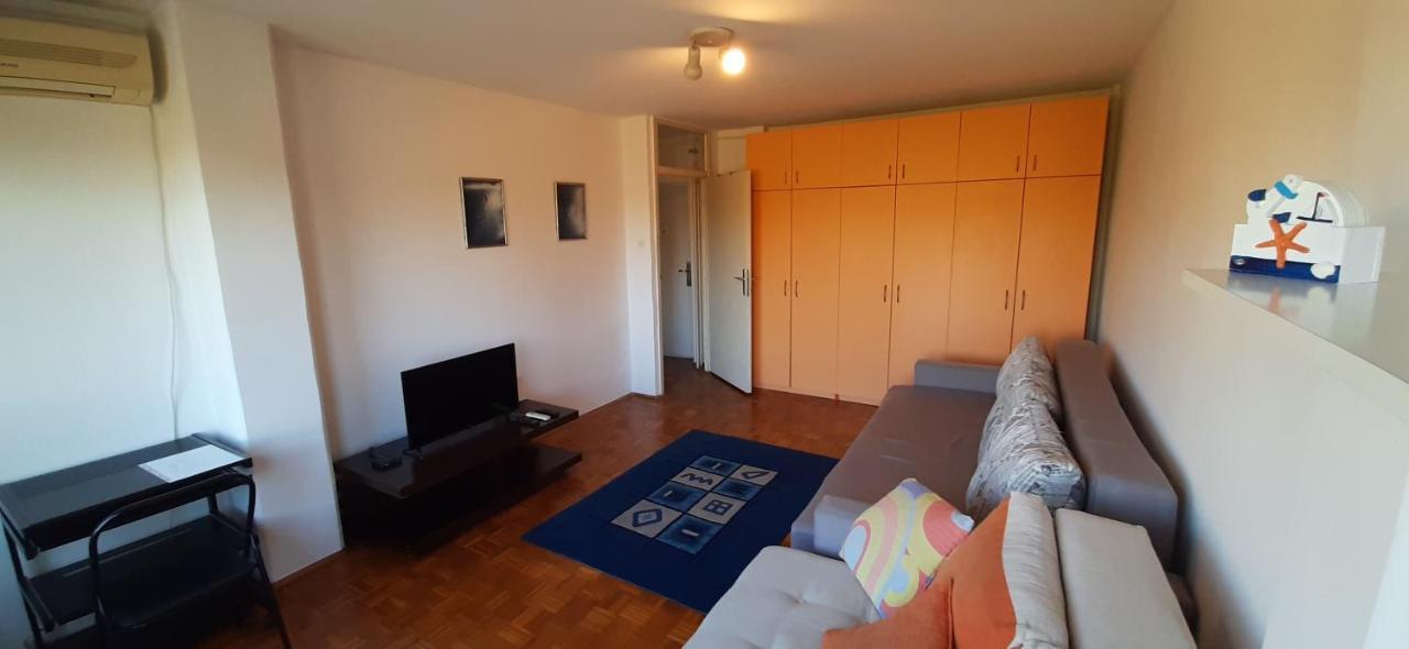 Apartment Student City, Wifi 300Mbs بلغراد المظهر الخارجي الصورة